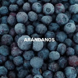 Arándanos x 1kg.