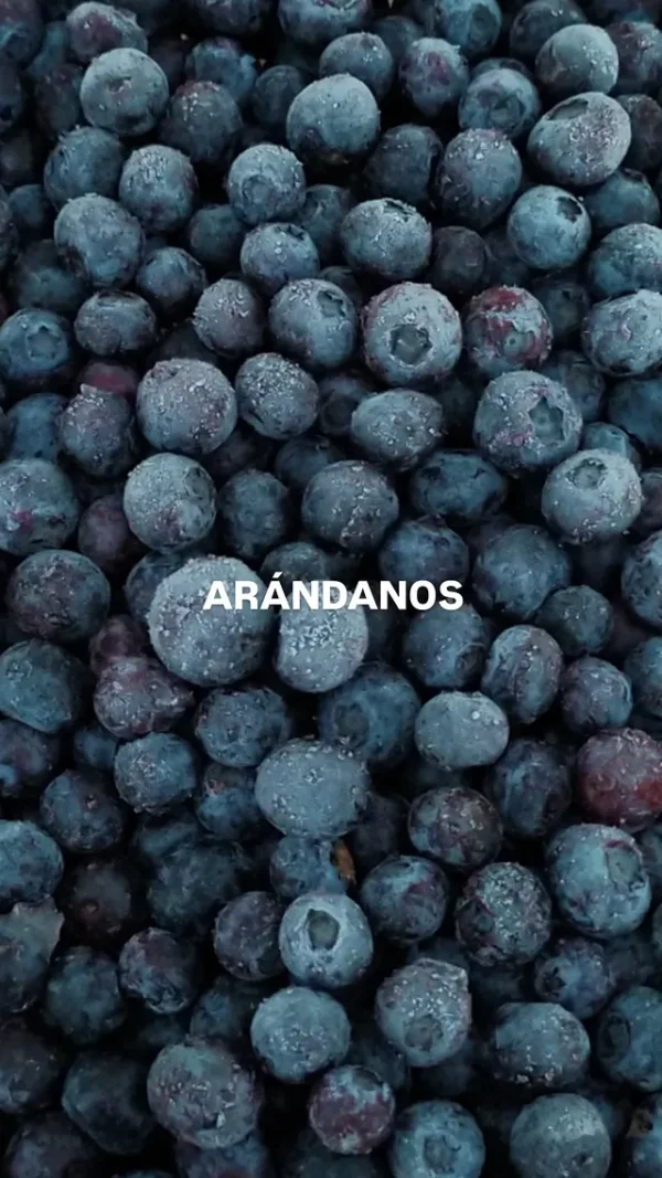 Arándanos x 1kg.