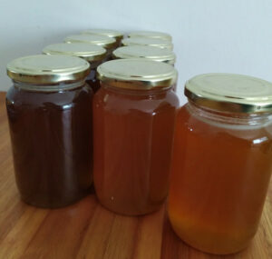 Miel pura de abejas mendocinas x 500grs.