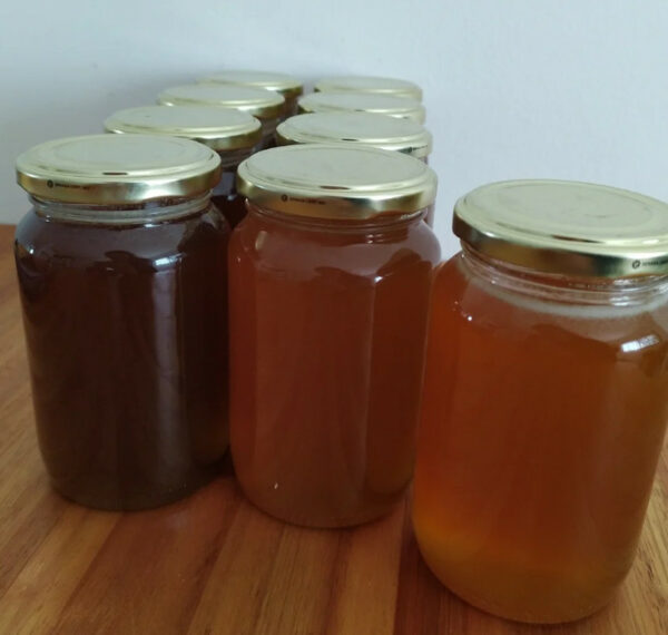 Miel pura de abejas mendocinas x 500grs.
