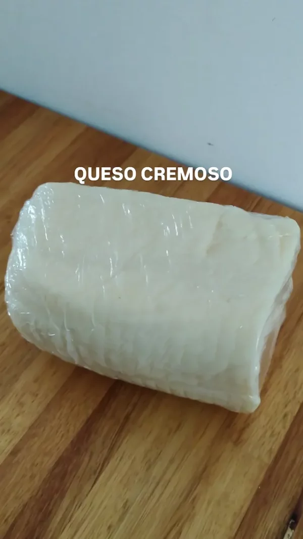 Queso cremoso x 500 grs.