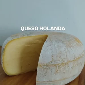 Queso Holanda x 500 grs.