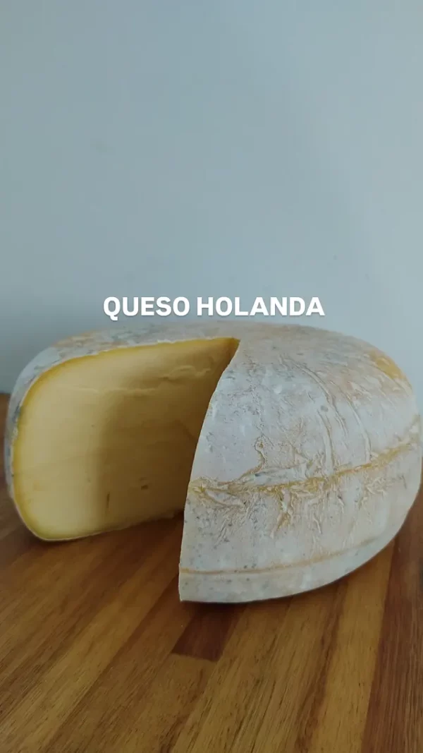 Queso Holanda x 500 grs.
