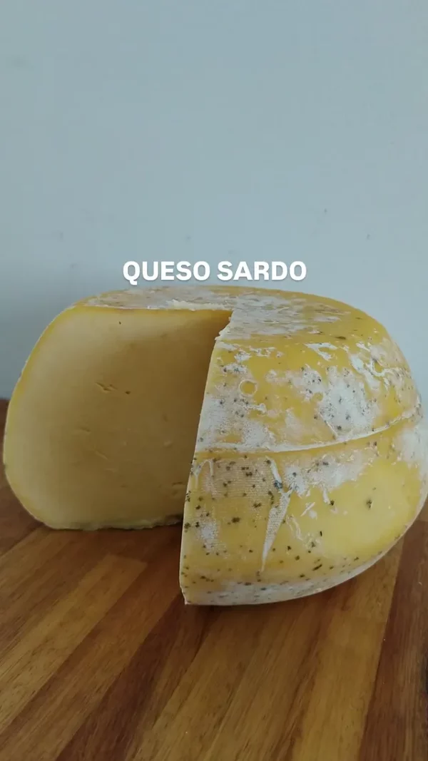 Queso Sardo x 500 grs.
