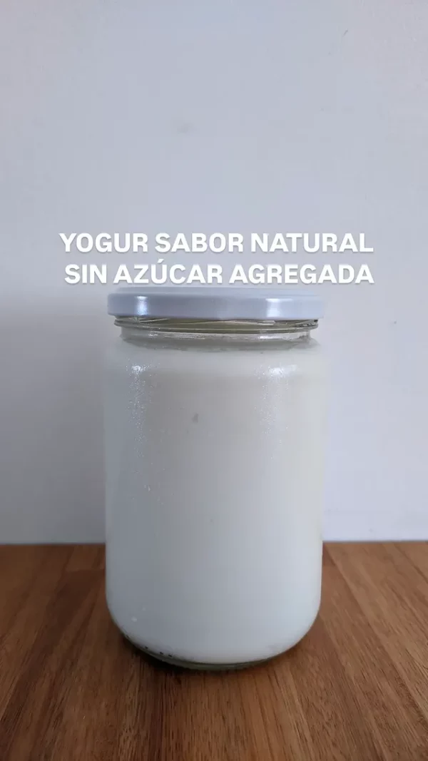 Yogur sabor natural sin azucar agregada x 500 grs.
